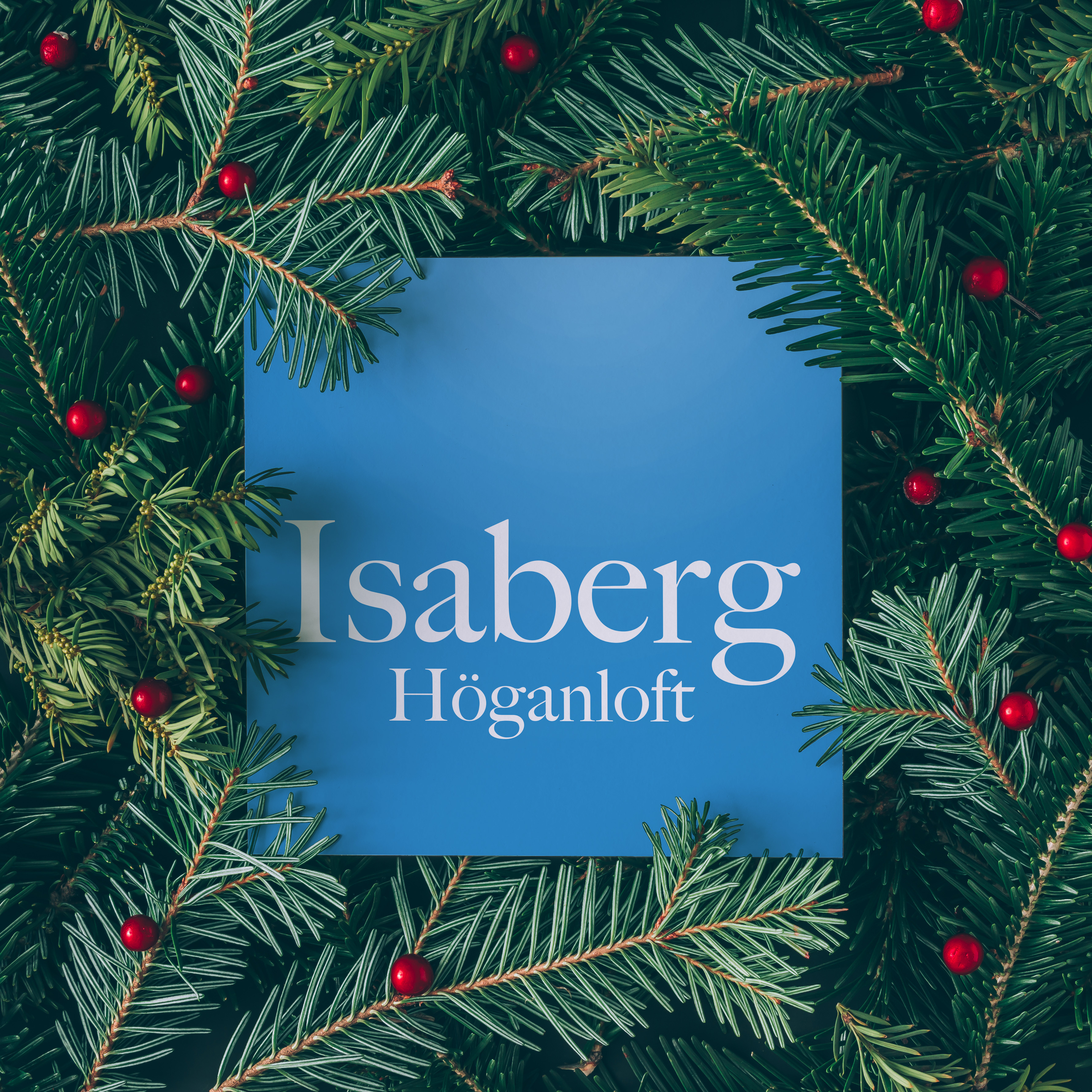 Hoganloft Julkoncept