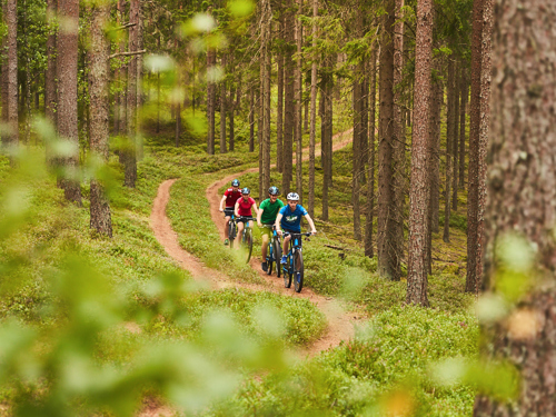 Mountainbike