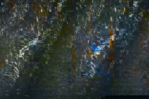 Rodel Adventure - Isaberg