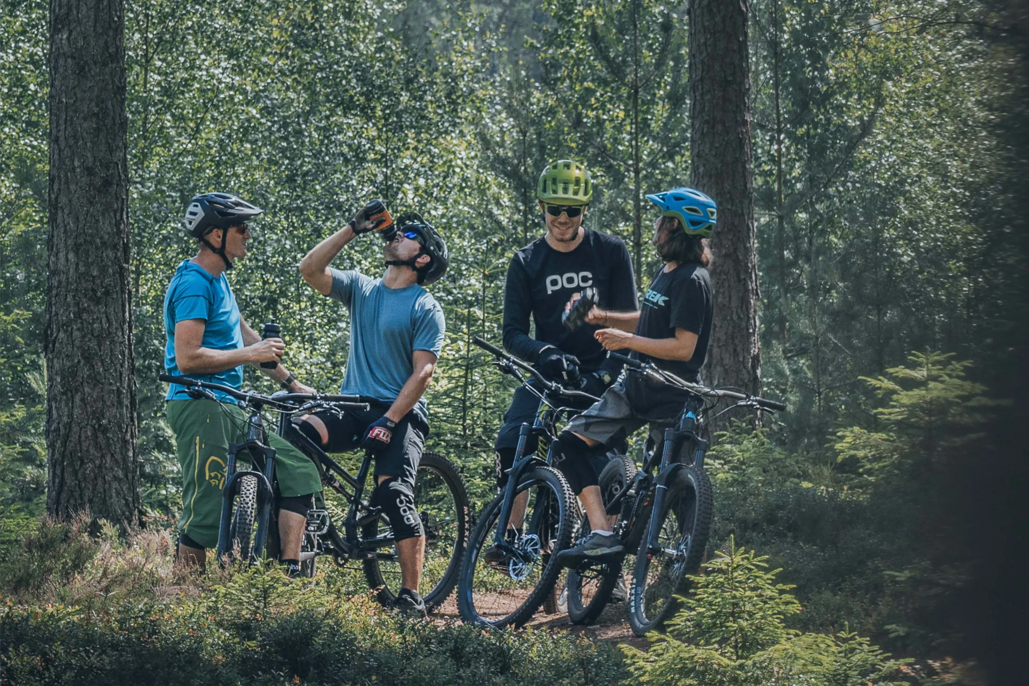 MTB Skogsbild 3