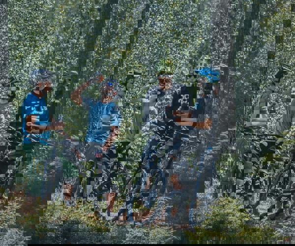 MTB Skogsbild 3