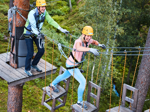 Tree Top Adventure