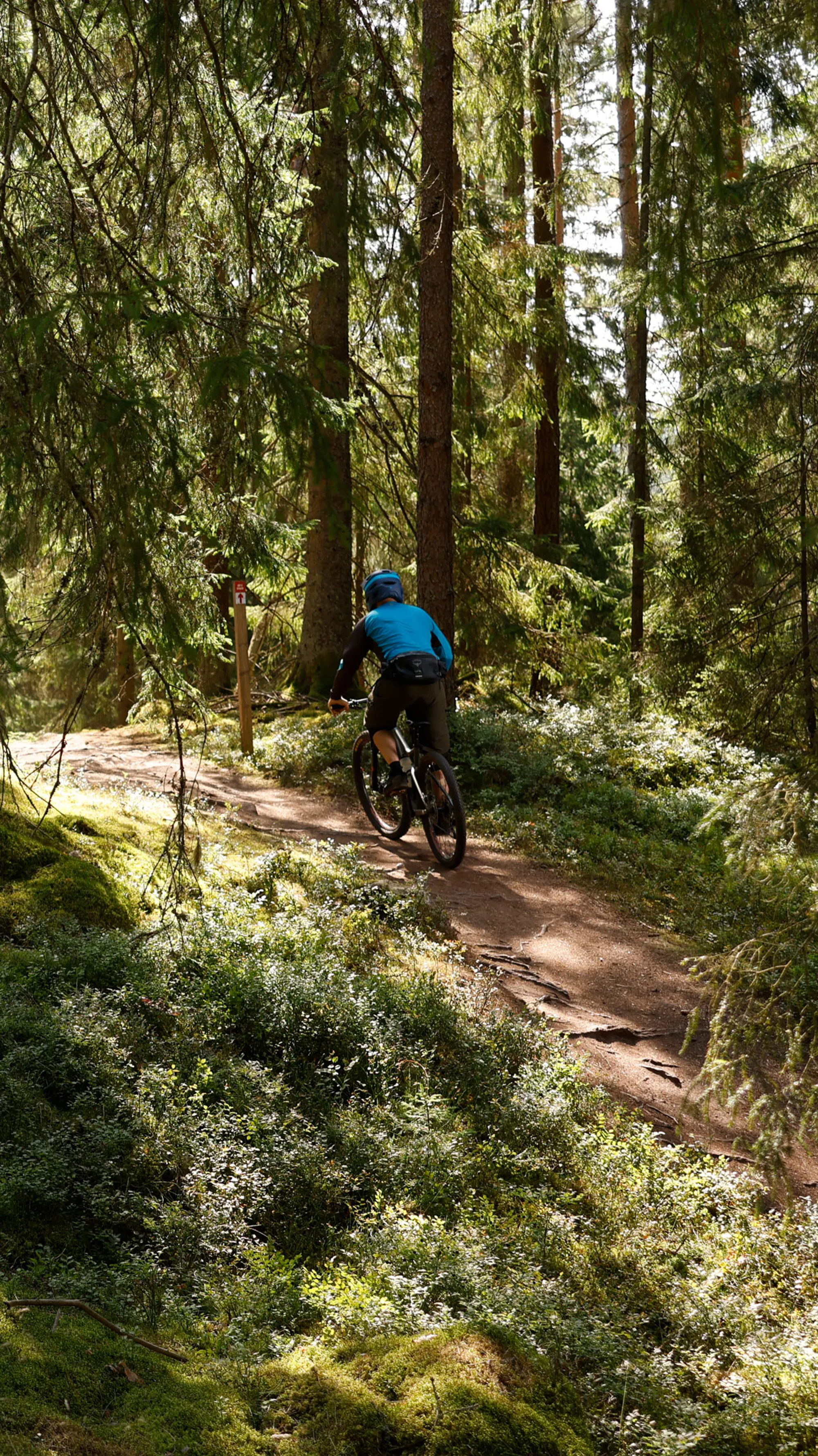 MTB Puffbild